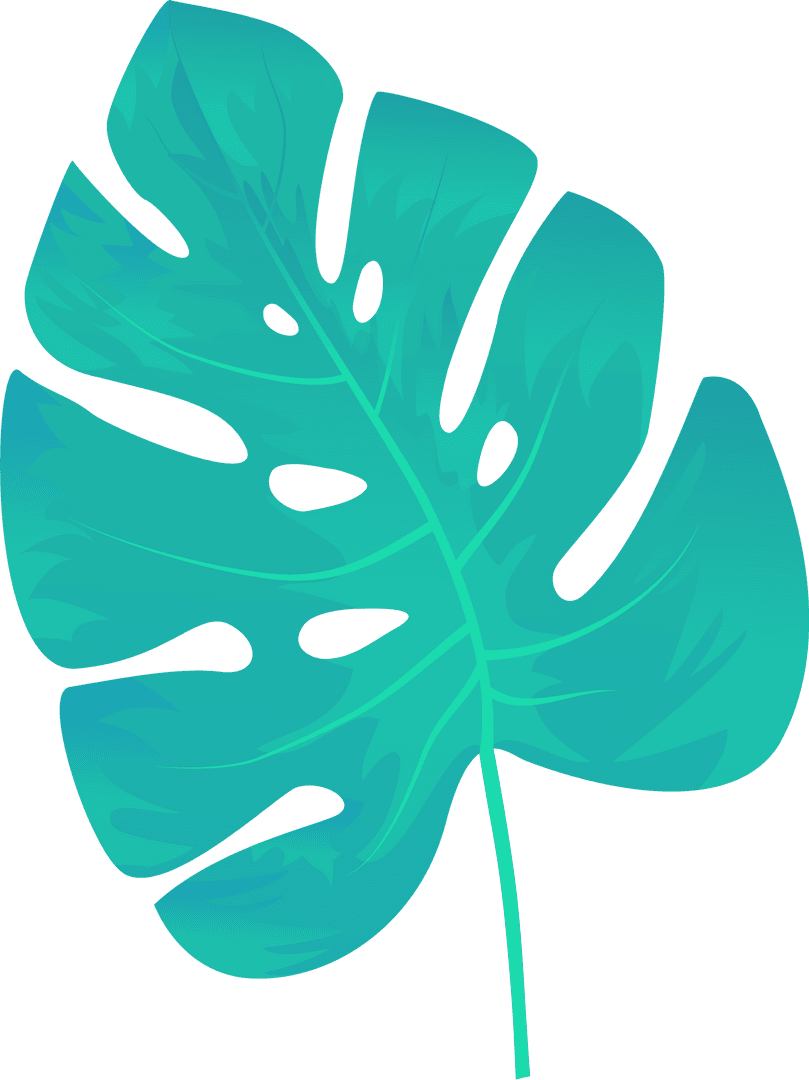 Stylized Monstera Leaf Illustration on Transparent Background