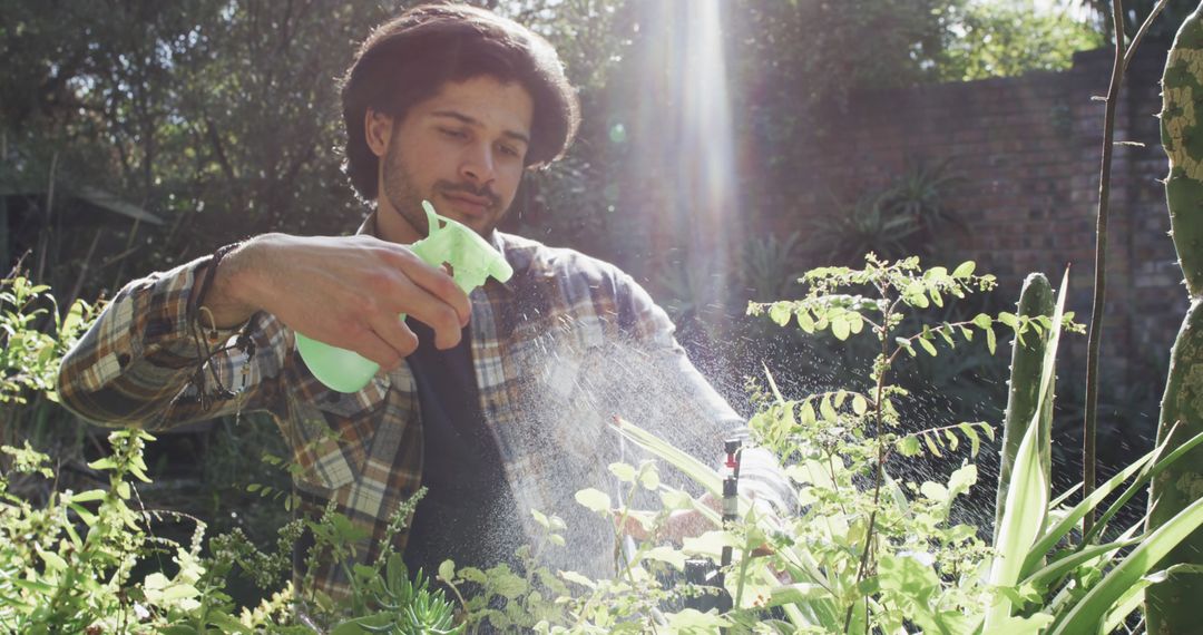 Man Spraying Plants with Water in Sunny Garden - Free Images, Stock Photos and Pictures on Pikwizard.com