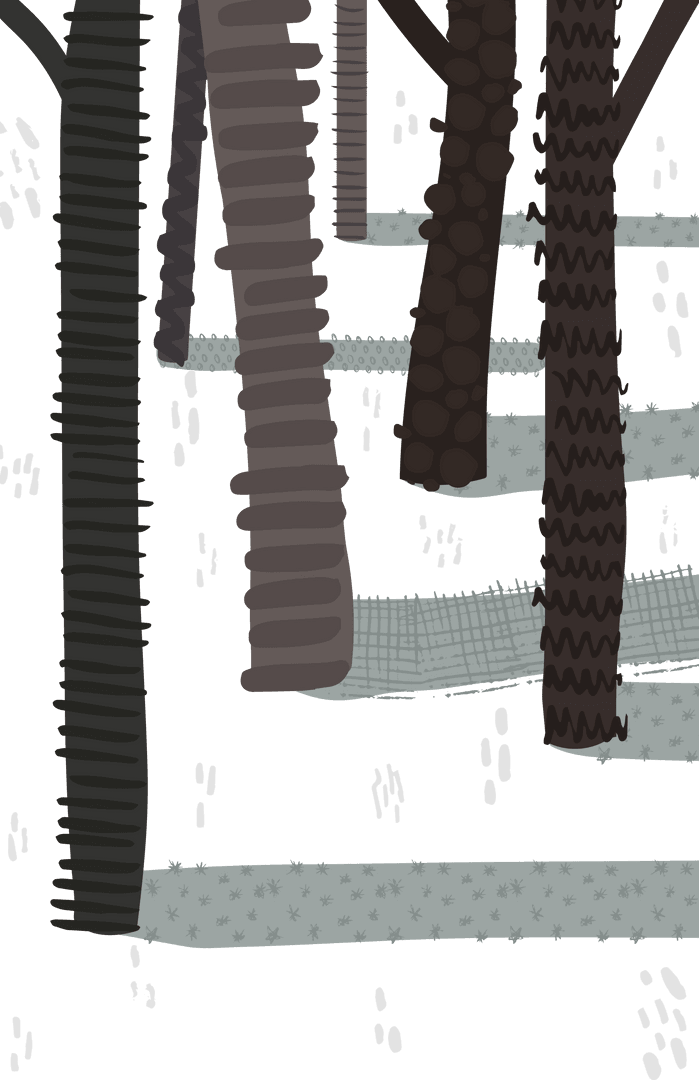 Transparent Tree Trunks in Snowy Winter Forest