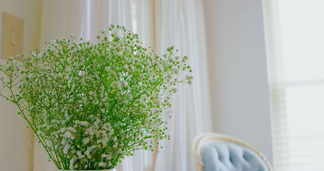 Fresh White Baby's Breath Flowers in Glass Vase with Bright Cozy Interior - Free Images, Stock Photos and Pictures on Pikwizard.com