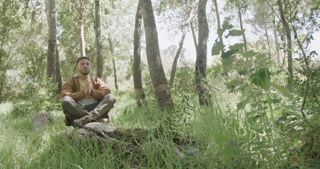 Man Meditating Outdoors in Sunlit Forest - Free Images, Stock Photos and Pictures on Pikwizard.com