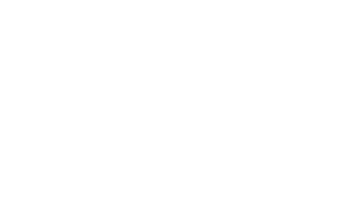 Digitally Styled Boxing Silhouette on Transparent Background