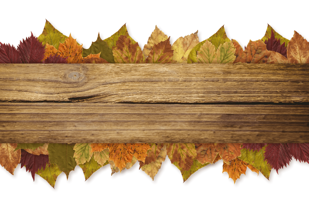 Transparent Autumn Leaves with Wooden Board Background Illustration