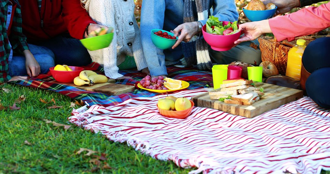 Family Enjoying Picnic on Blanket in Park with Healthy Foods - Free Images, Stock Photos and Pictures on Pikwizard.com