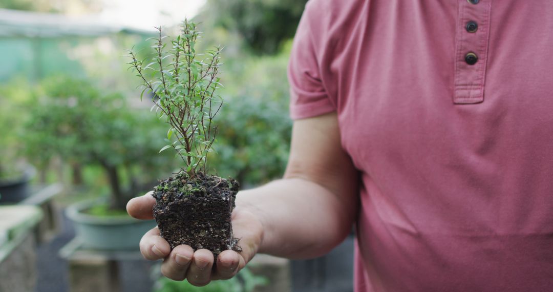 Close-up of gardener holding plant with soil in outdoor garden - Free Images, Stock Photos and Pictures on Pikwizard.com