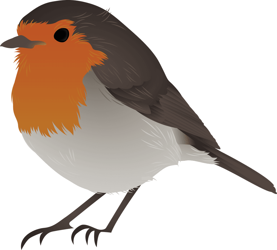 Transparent Robin-like Bird with Orange Breast in Vector Illustration