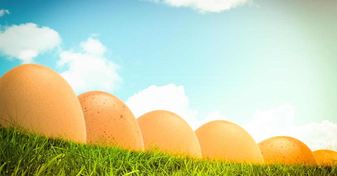 Row of Eggs on Grass Under Blue Sky - Free Images, Stock Photos and Pictures on Pikwizard.com