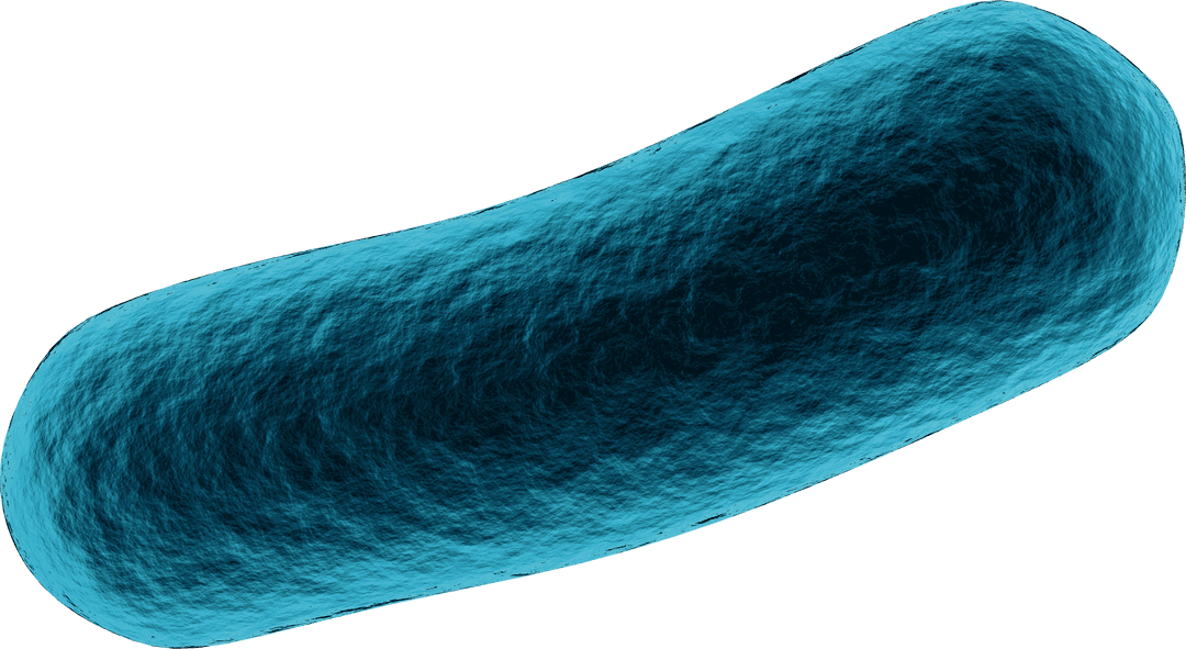 Transparent 3D Blue Rod-Shaped Bacteria Cell Visualization
