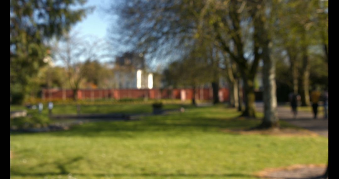 Blurred Landscape of Park with Trees and Walkways - Free Images, Stock Photos and Pictures on Pikwizard.com