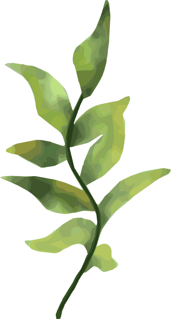 Stylized Leafy Branch Illustration on Transparent Background