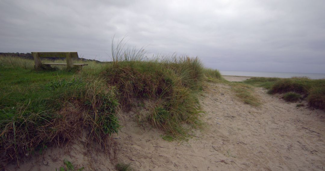 Lonely Bench on Sandy Dune by Windy Beach - Free Images, Stock Photos and Pictures on Pikwizard.com