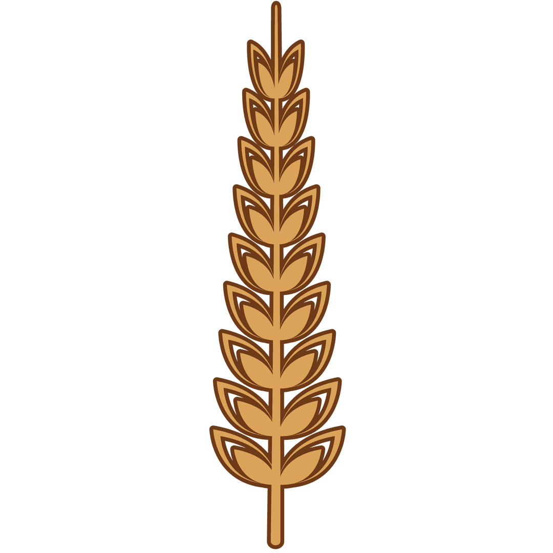 Stylized Wheat Ear on Transparent Background for Nature Design