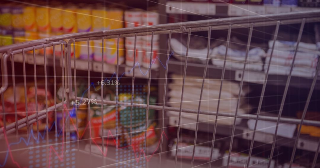 Digital Financial Data Overlay in Supermarket Aisle