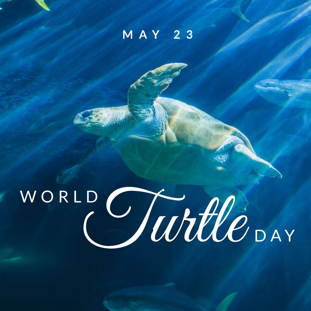 Sea Turtle Gliding Underwater for World Turtle Day