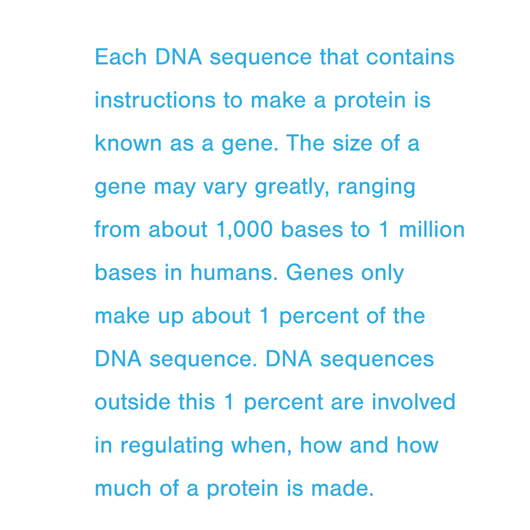 Transparent Text on DNA Protein Instructions