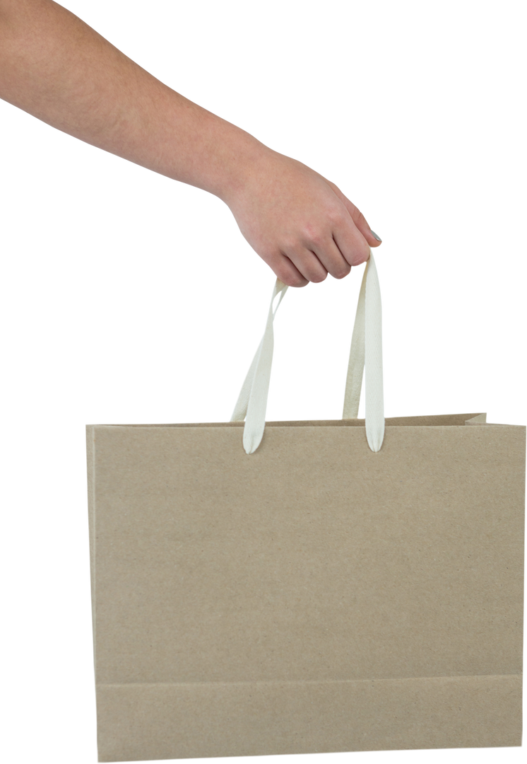 Transparent Hand Holding Blank Kraft Paper Shopping Bag Image - Download Free Stock Images Pikwizard.com