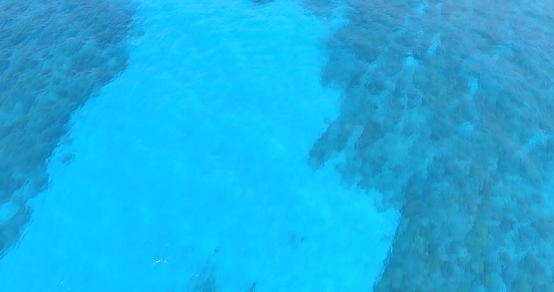 Clear Blue Ocean Water with Underwater Reefs - Free Images, Stock Photos and Pictures on Pikwizard.com