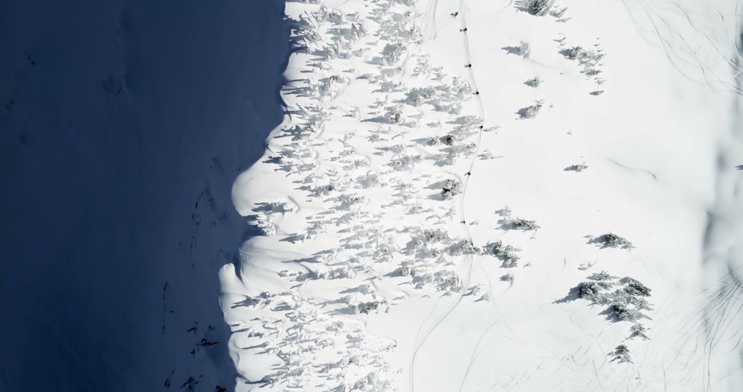 Aerial View of Snow-Covered Forest Edge and Shadow Play - Free Images, Stock Photos and Pictures on Pikwizard.com