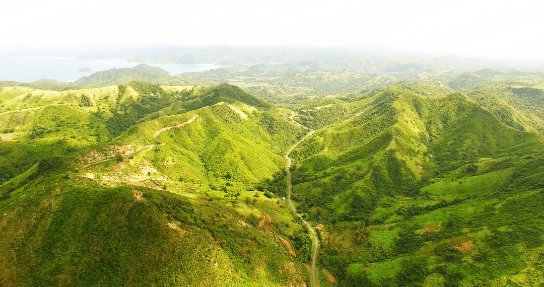 Lush Green Mountain Landscape on Transparent Background