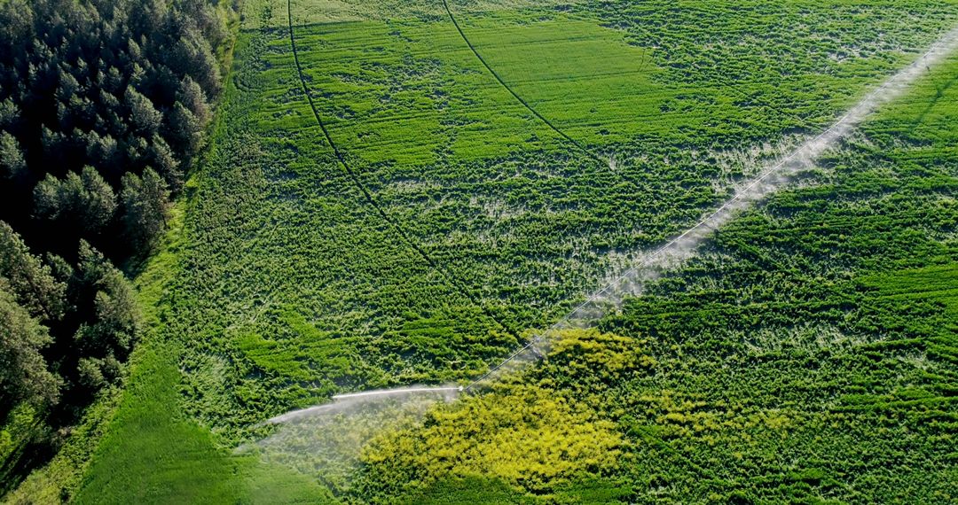 Aerial view of green agricultural field with crop circle patterns - Free Images, Stock Photos and Pictures on Pikwizard.com