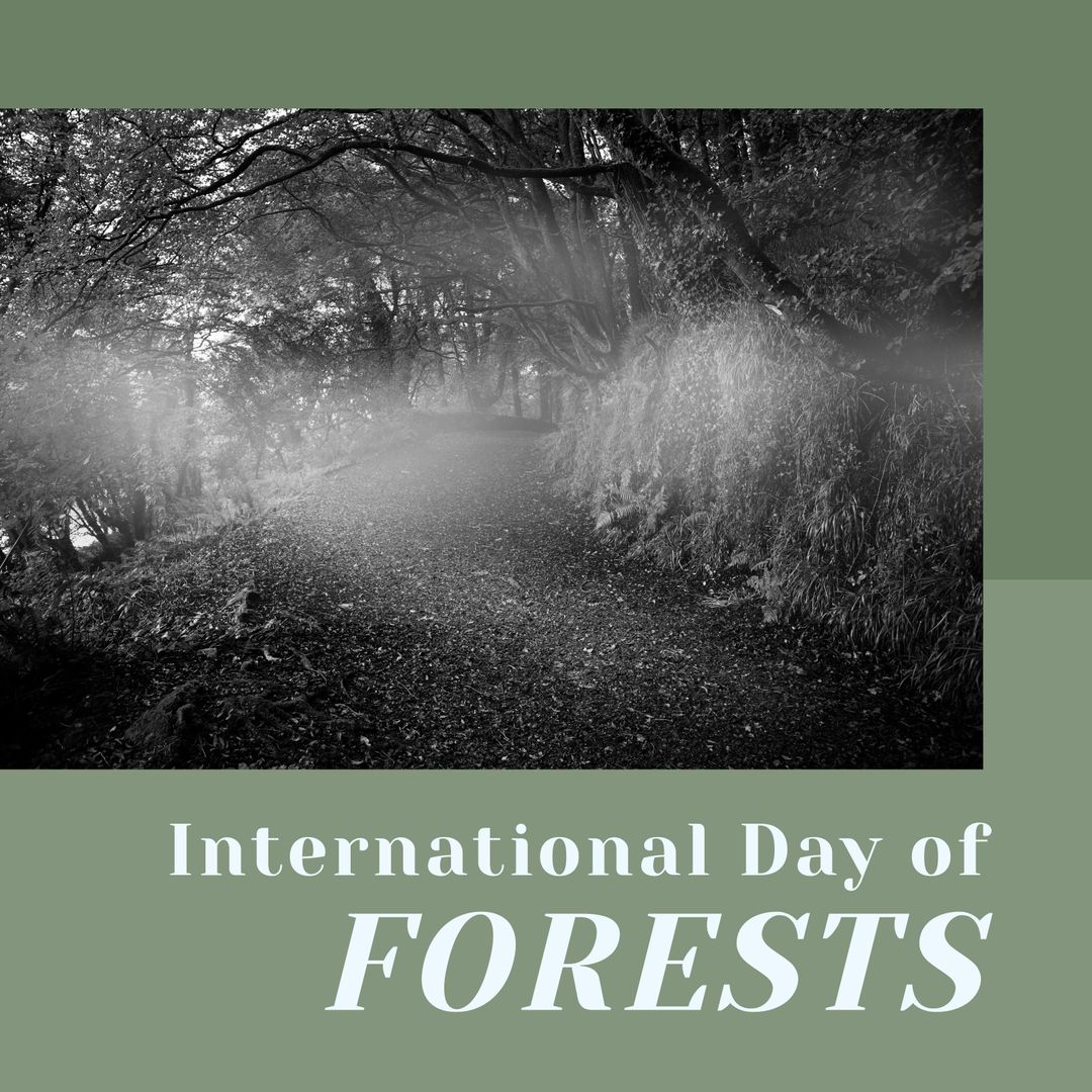 International Day of Forests Celebration with Serene Forest Scene