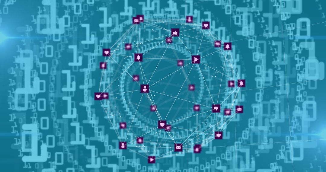 Digital Network Interface with Data Connections
