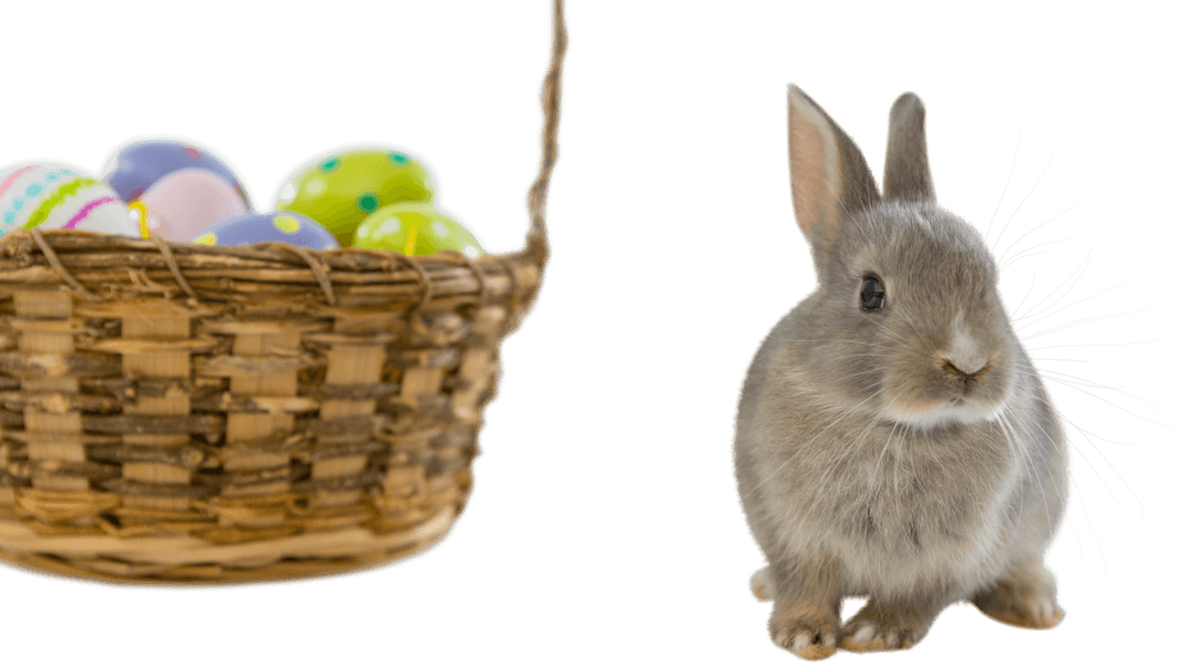 Transparent Bunny and Easter Eggs in Wicker Basket