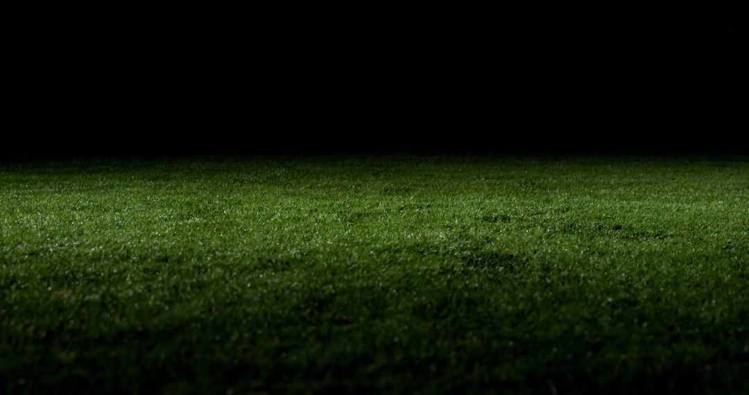 The photo depicts a serene, well-lit grass field at night, offering a vivid green amidst darkness. - Free Images, Stock Photos and Pictures on Pikwizard.com