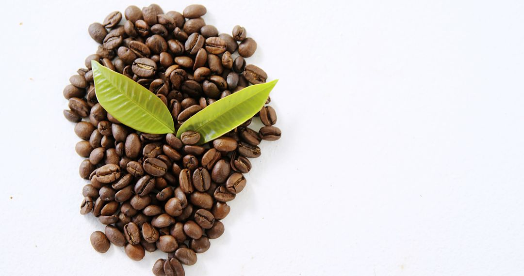 Coffee Beans Forming Heart Shape with Green Leaves on White Background - Free Images, Stock Photos and Pictures on Pikwizard.com