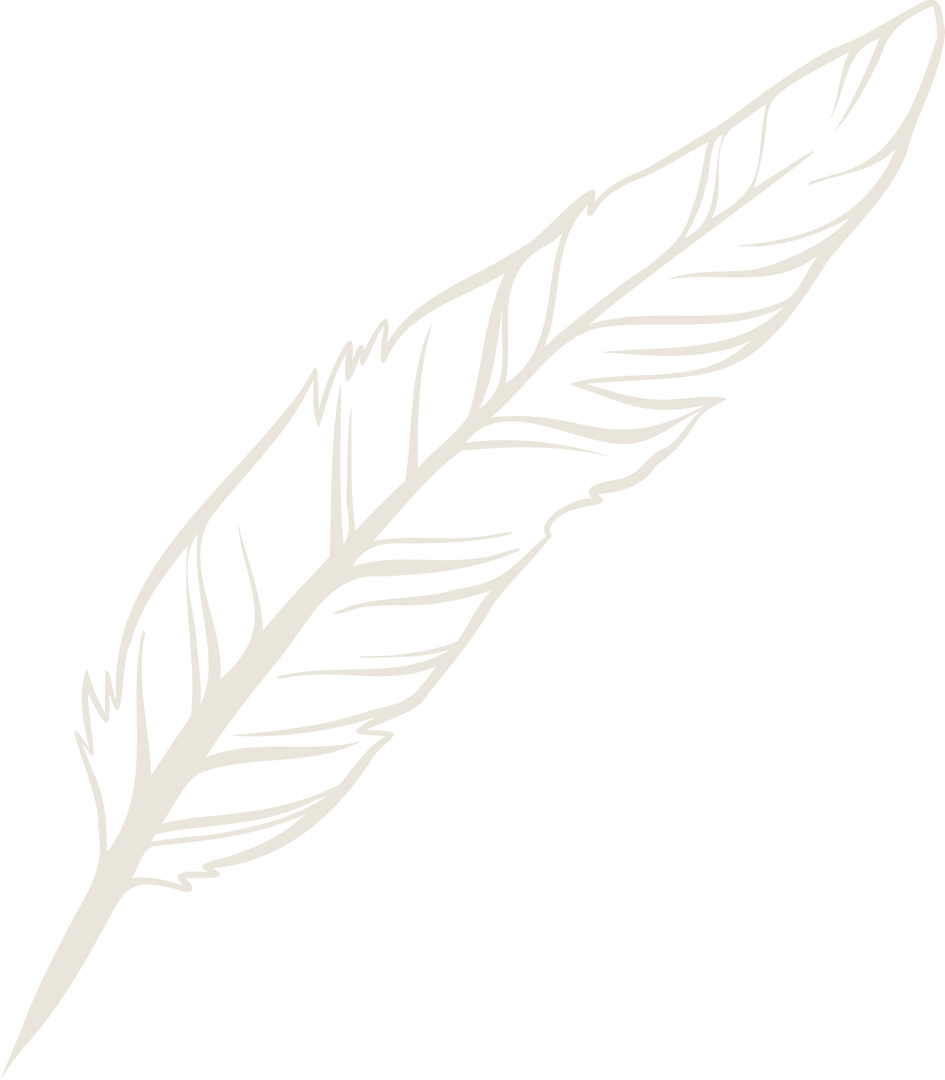 Artistic Transparent Feather Sketch for Elegant Designs