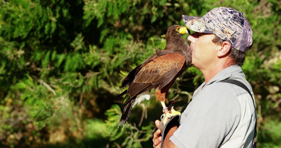 Falconer Holding Hawk with Forest in Background, Nature Photography - Free Images, Stock Photos and Pictures on Pikwizard.com