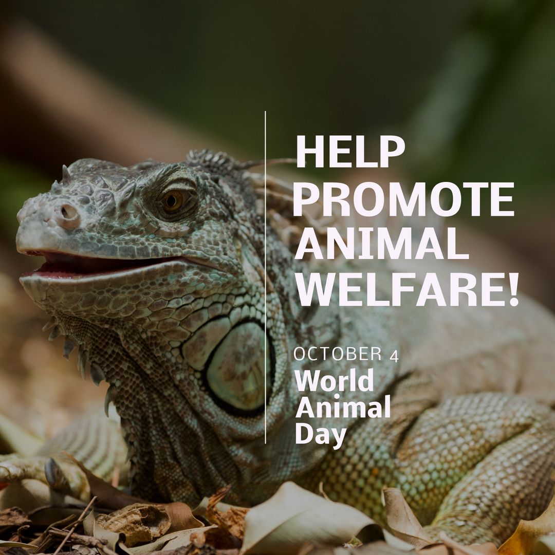 World Animal Day Lizard Wildlife Conservation Poster