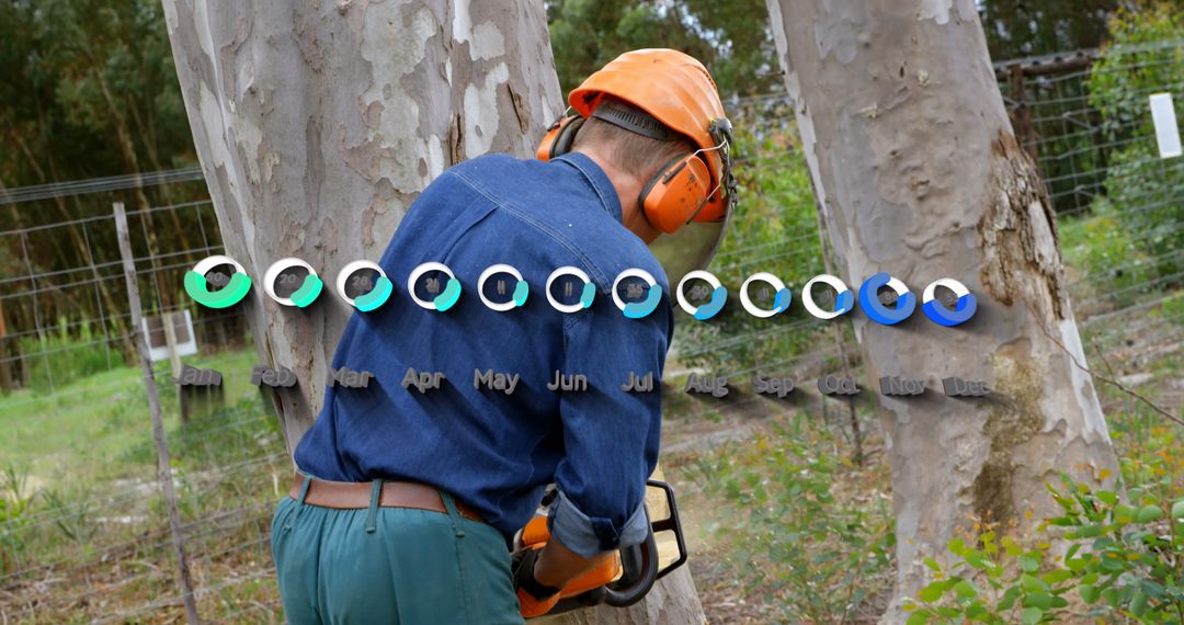 Lumberjack Analyzing Environmental Data Interface