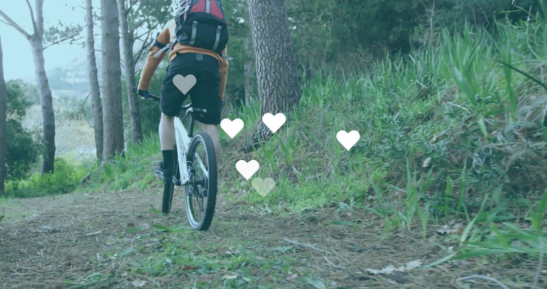 Cyclist Embracing Adventure on a Forest Path