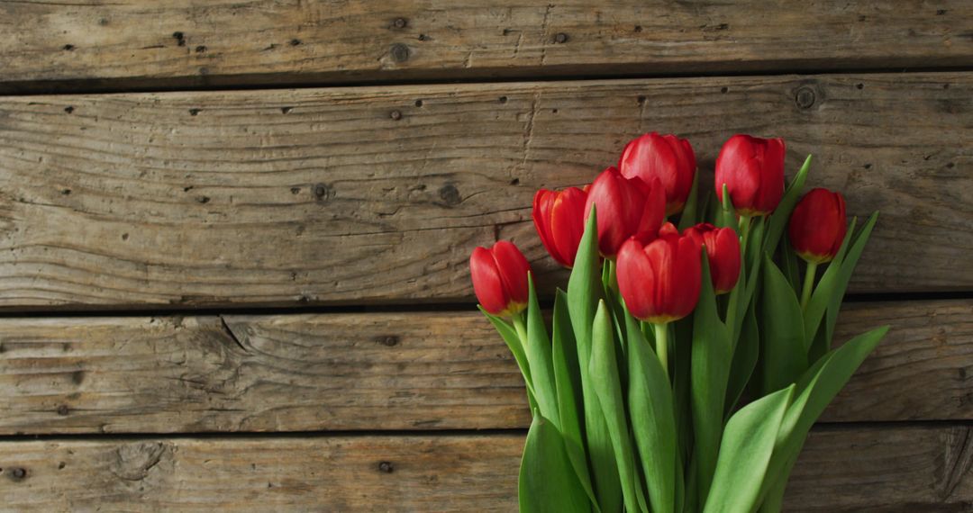 Bouquet of Red Tulips on Rustic Wooden Background