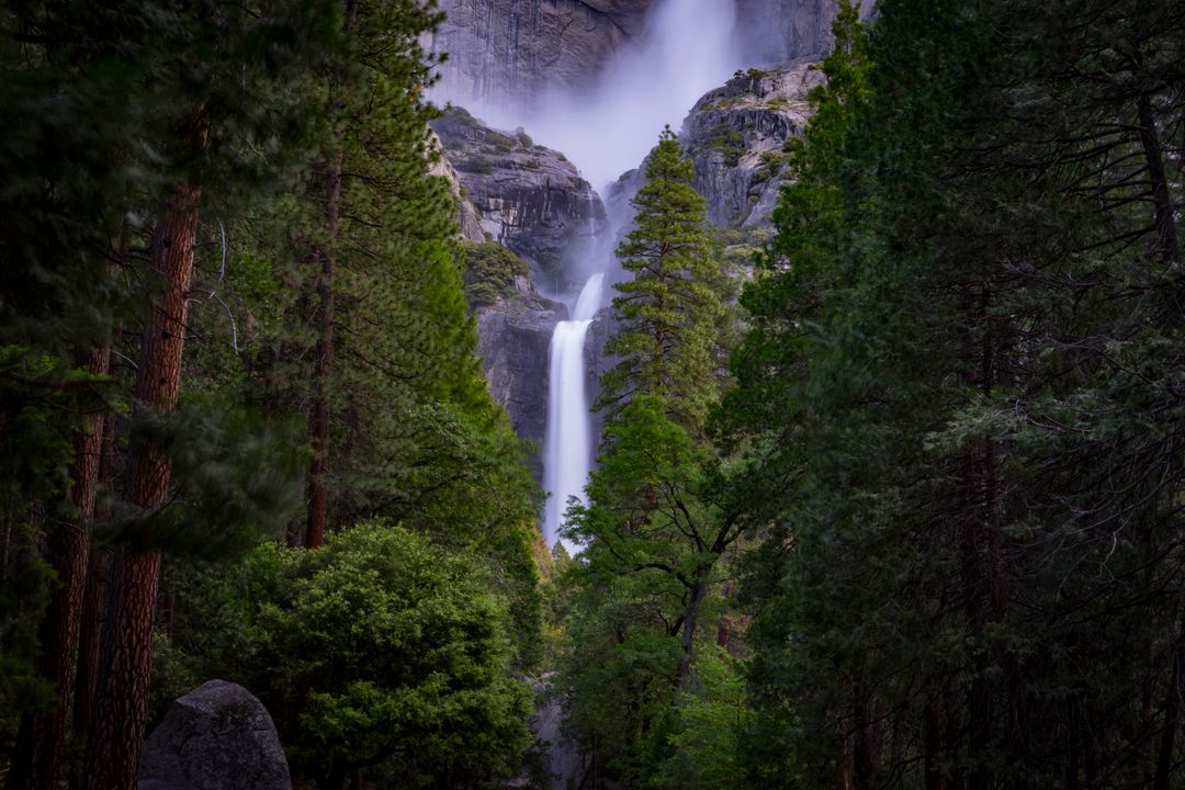Majestic Waterfall Cascading Down Rocky Cliff in Verdant Forest - Free Images, Stock Photos and Pictures on Pikwizard.com