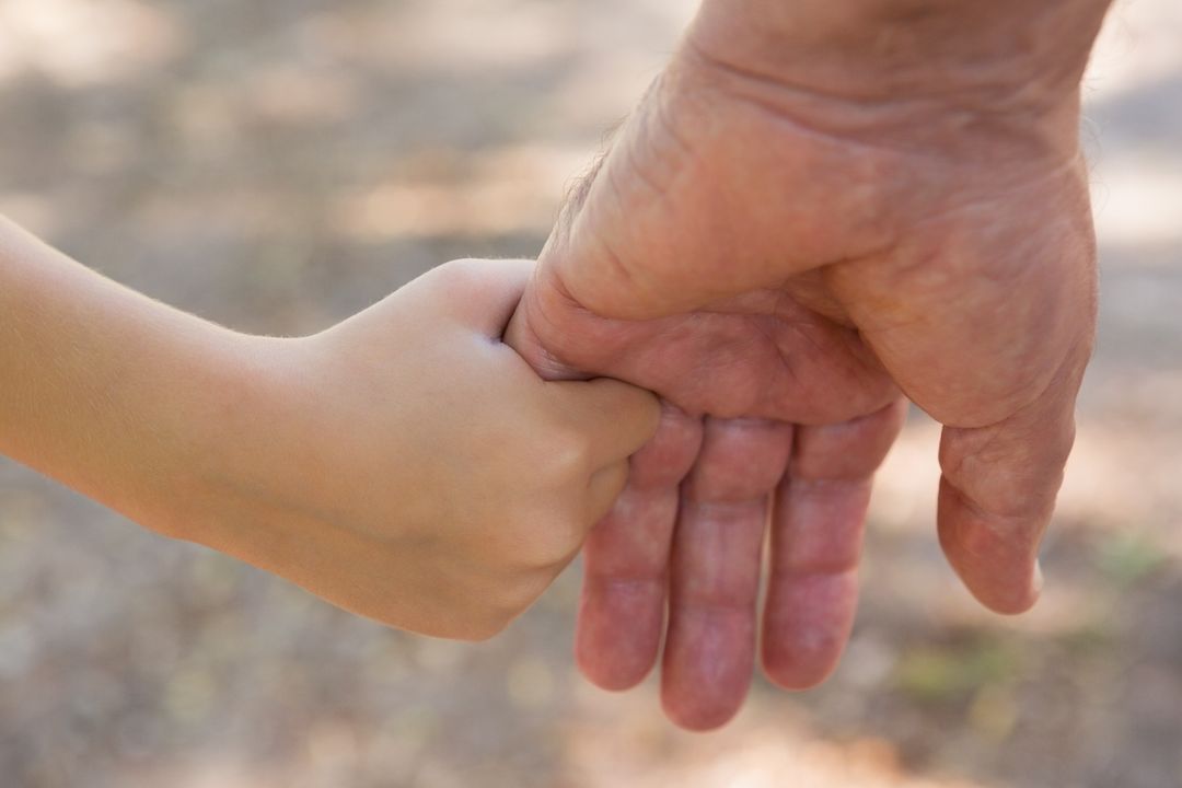 Grandfather holding his granddaughter hand in the forest - Free Images, Stock Photos and Pictures on Pikwizard.com