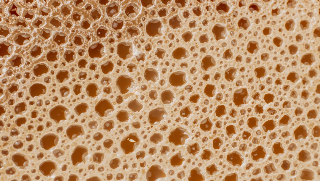 Macro porous foam texture showing tan honeycomb cellular pattern with rounded pores