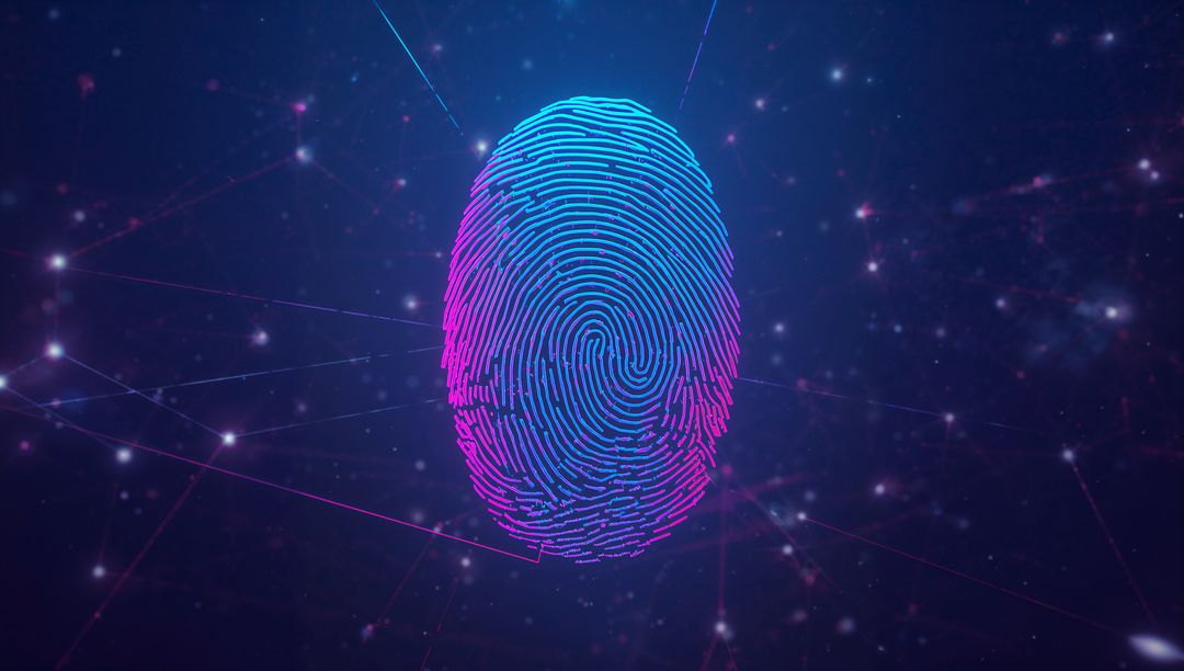 Digital Fingerprint in Cyberspace with Network Connections