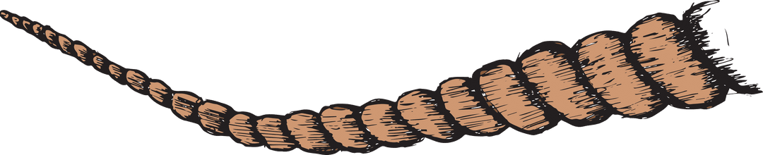 Coiled Brown Rope Illustration on Transparent Background