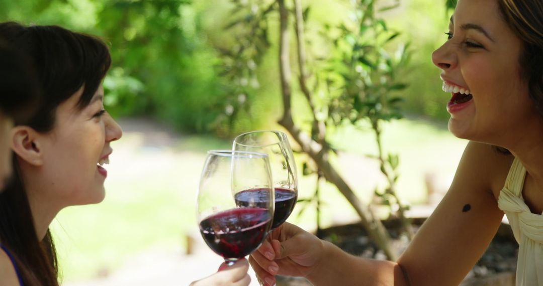 Close-Up of Two Women Toasting with Red Wine in Garden - Free Images, Stock Photos and Pictures on Pikwizard.com