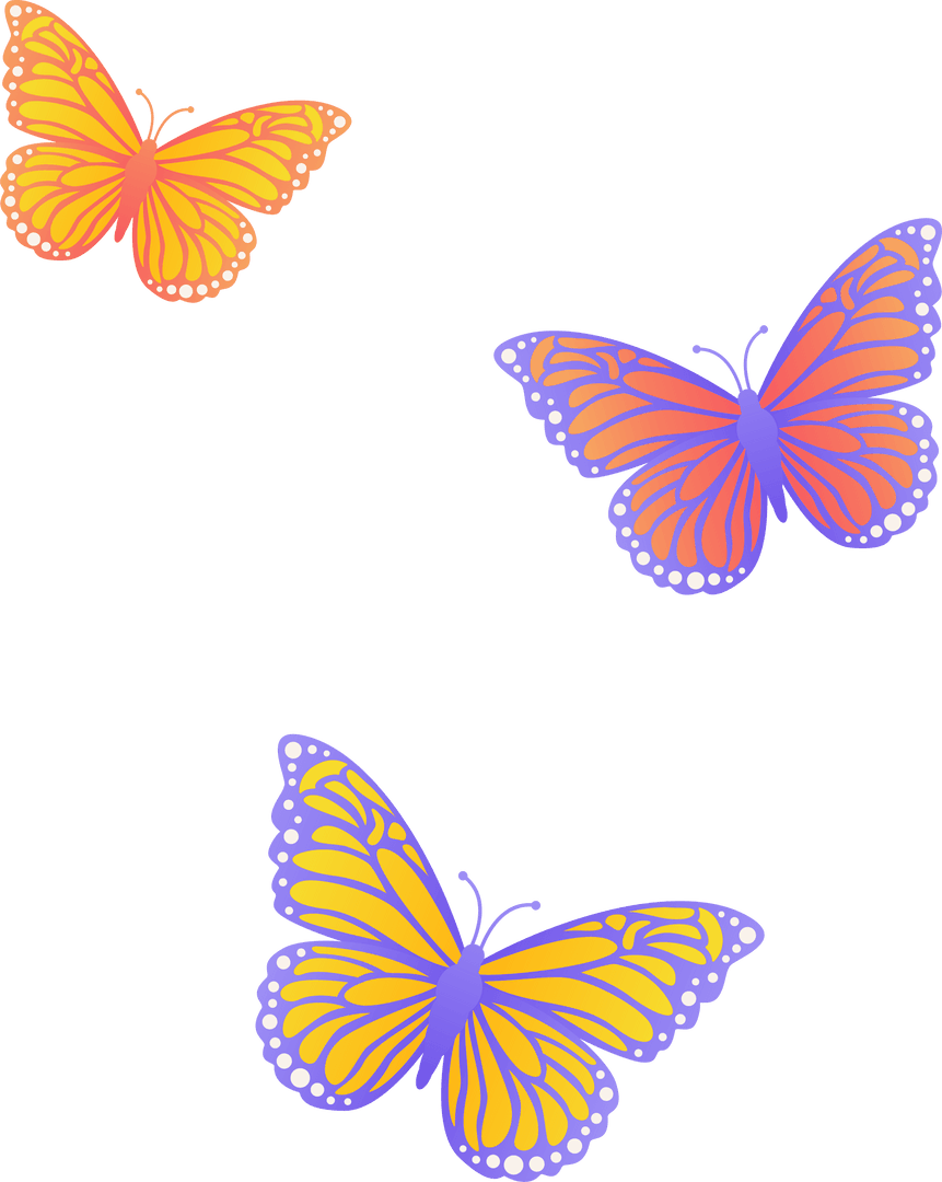 Colorful Butterflies Flying on Transparent Gradient Background