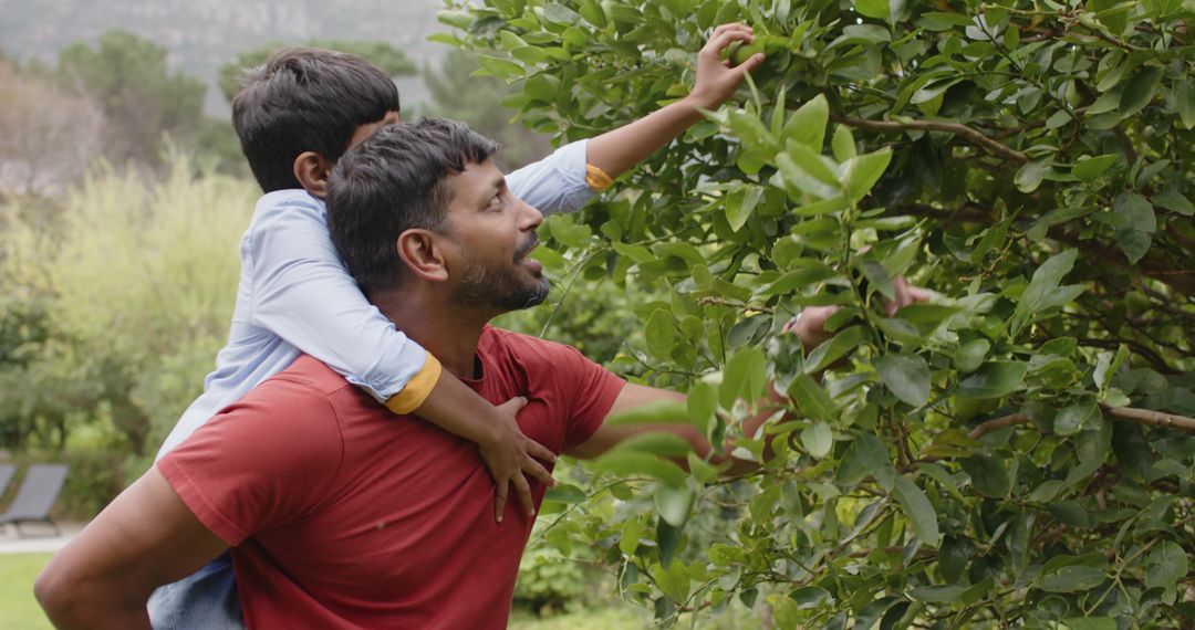 Father Supporting Son in Orchard Adventure with Leafy Will Joy