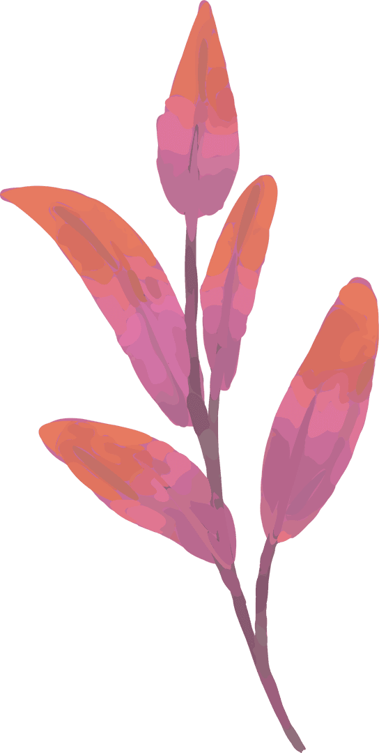 Colorful Botanical Sprig Illustration on Transparent Background