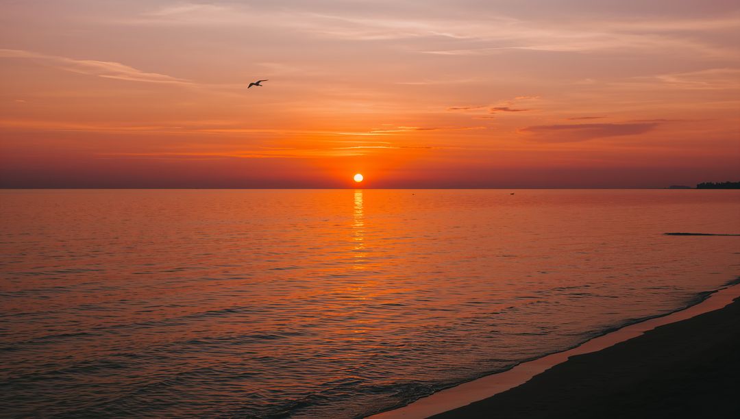 Sun Sinking Over Calm Sea, Casting Golden Reflection Across Horizon, Seagull Flying