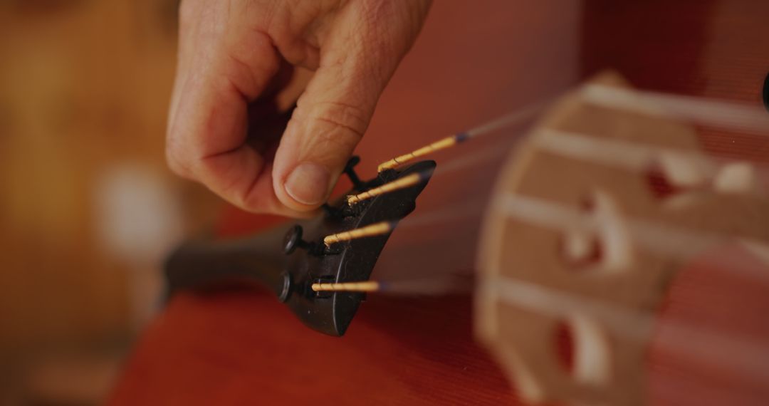 Hand Adjusting Cello Strings for Fine Tuning - Free Images, Stock Photos and Pictures on Pikwizard.com