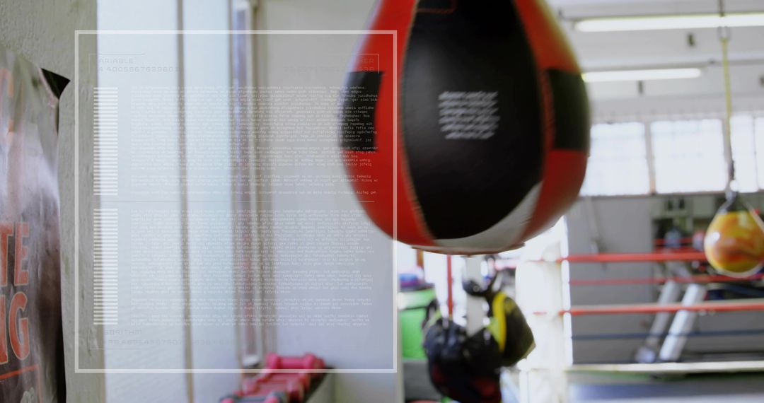 Swinging Teardrop Punching Bag in Boxing Gym