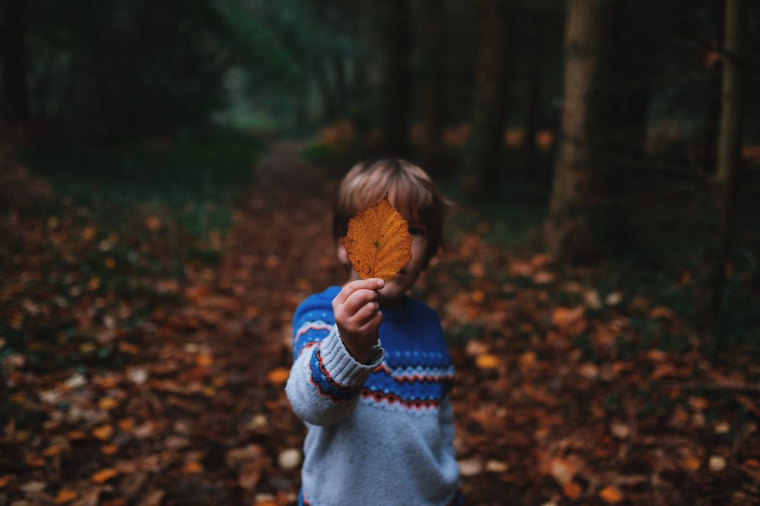 Child Holding Autumn Leaf in Forest Path - Free Images, Stock Photos and Pictures on Pikwizard.com