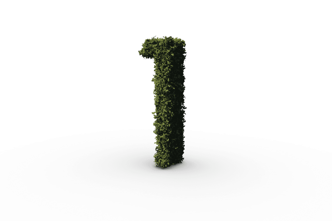 One Made of Grass on Transparent Background