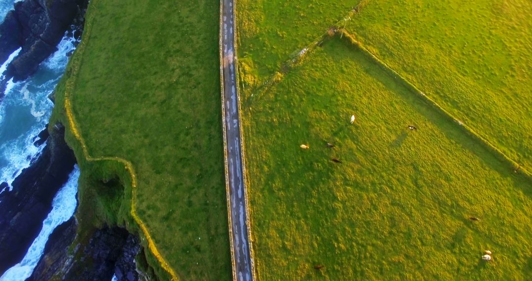 Aerial View of Coastal Farmland and Road During Sunset - Free Images, Stock Photos and Pictures on Pikwizard.com